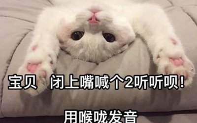 ​你可以闭嘴用喉咙说2吗 骗人娇喘的新套路