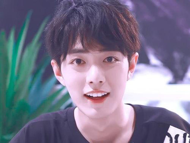 盘点10位川渝籍男明星(川渝帅哥明星)