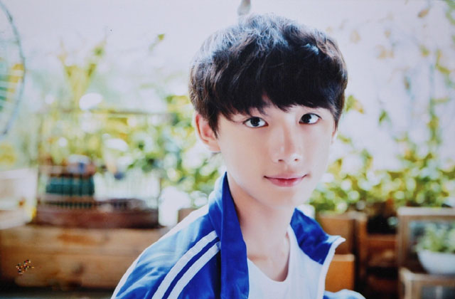 盘点10位川渝籍男明星(川渝帅哥明星)