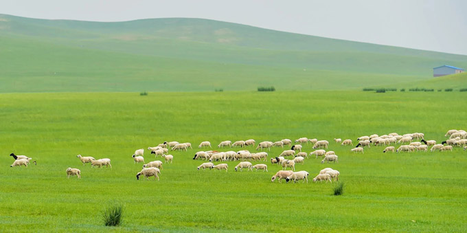 2022内蒙古十大旅游景点推荐