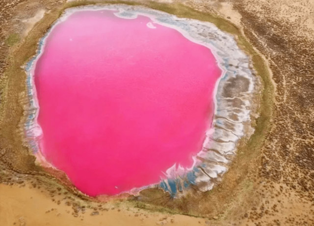 青海湖旅游攻略