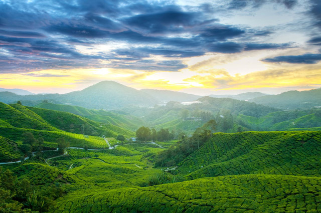 莫干山旅游攻略 2022莫干山六大旅游景点推荐