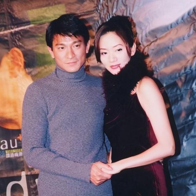 梅艳芳的男朋友有哪些(情路坎坷的梅艳芳)