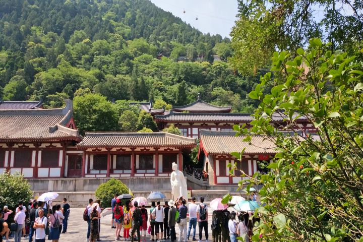 秦始皇兵马俑在哪个省份(知识科普兵马俑的地理位置)