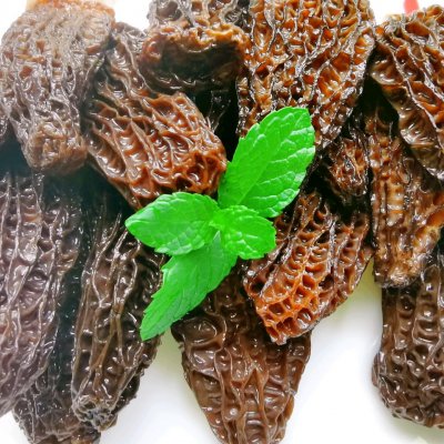 羊肚菌吃法(分享简单又开胃的羊肚菌家常吃法)