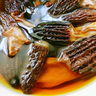 羊肚菌吃法(分享简单又开胃的羊肚菌家常吃法)