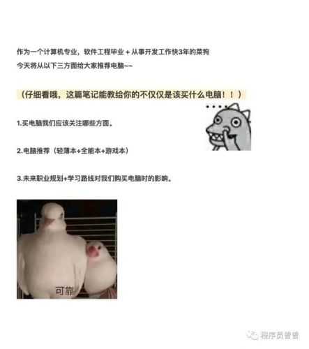 计算机专业的大学生用什么笔记本好?大一学生用什么笔记本电脑好-第1张图片-