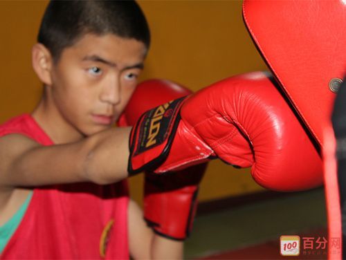 搏击的近义词是什么?搏击的近义词语-第1张图片-