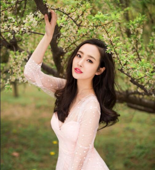 李纯个人资料老公 李纯结婚了吗