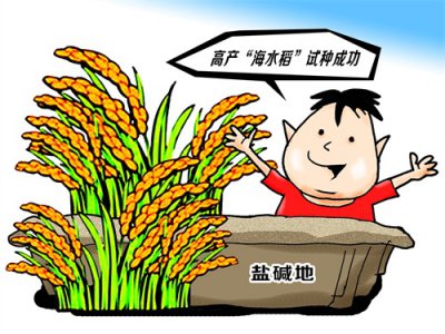 ​“海水稻”就是用海水浇的水稻？关注科研莫老“想当然”