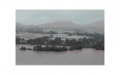 ​姘居和同居的区别，法律是如何规定的？