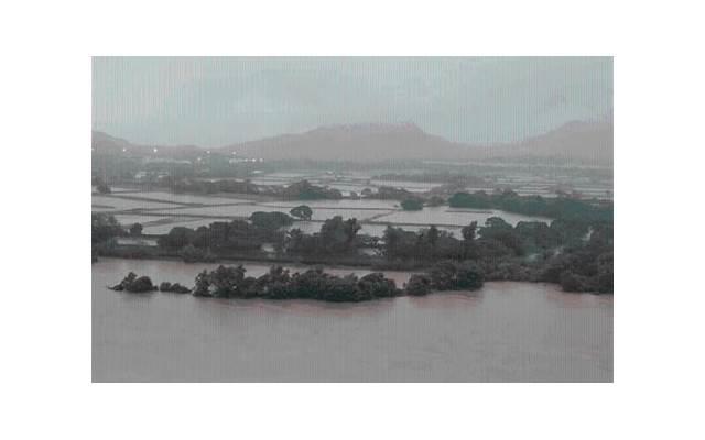 姘居和同居的区别,法律是如何规定的? 姘居和同居的区别,法律是如何规定的?