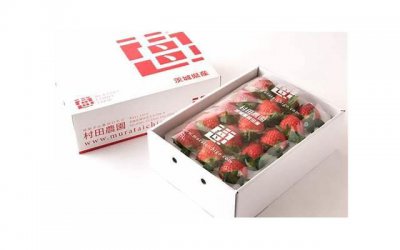 ​回忆的画面记录的语言，如何用文字表达出爱情的详细？